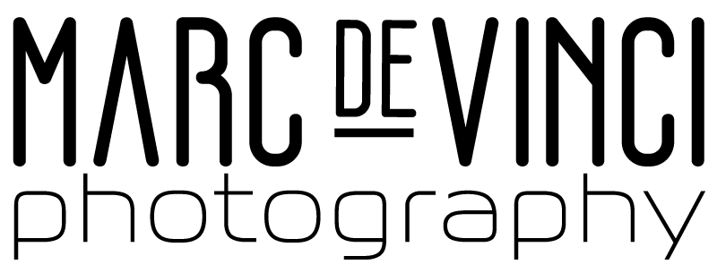 mdv logo finale black bigger